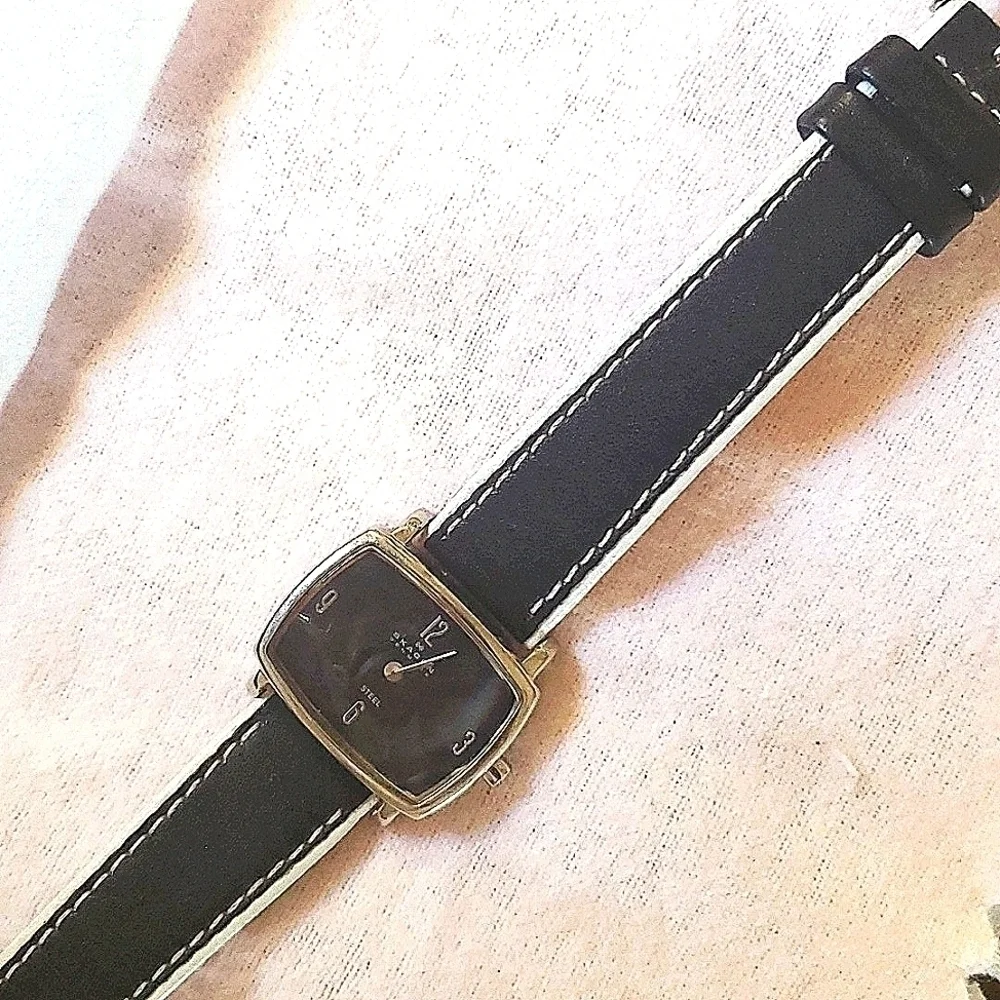 Skagen Denmark Slim Water Resistant Battery Operated Bracelet Watch